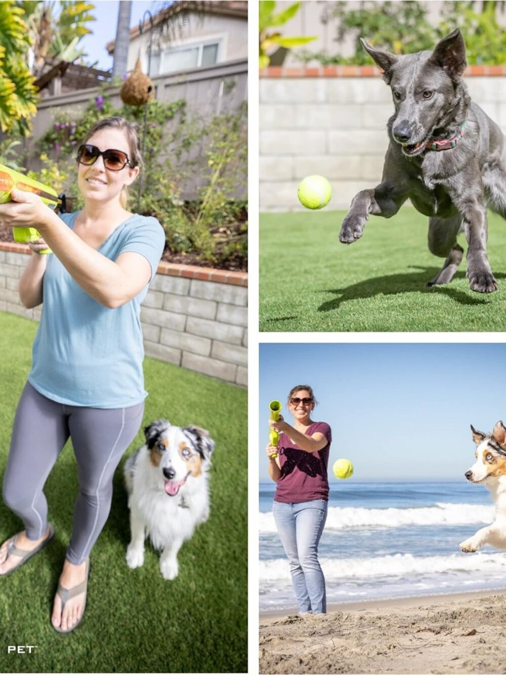 K9 Kannon Dog Ball Thrower Launcher for Dogs, All Breeds Up To 60 Pounds, With O - Picture 6 of 9